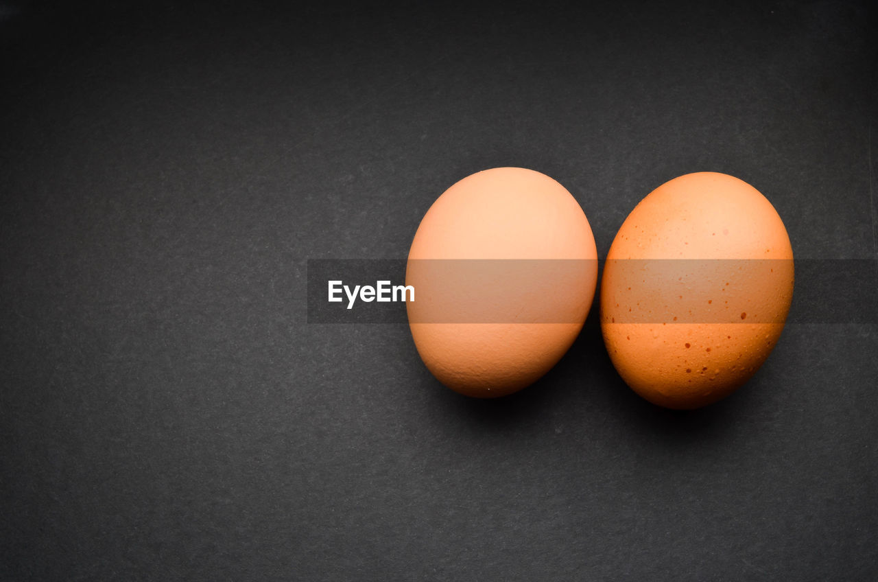 High angle view of eggs against black background