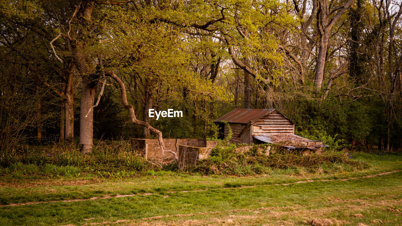 A footpath passes a ruined farm building on the edge of woodland in west sussex, england, uk.