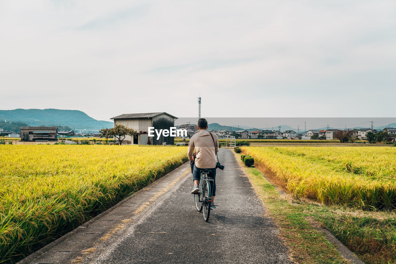 Rear view of man riding bicycle on road against sky