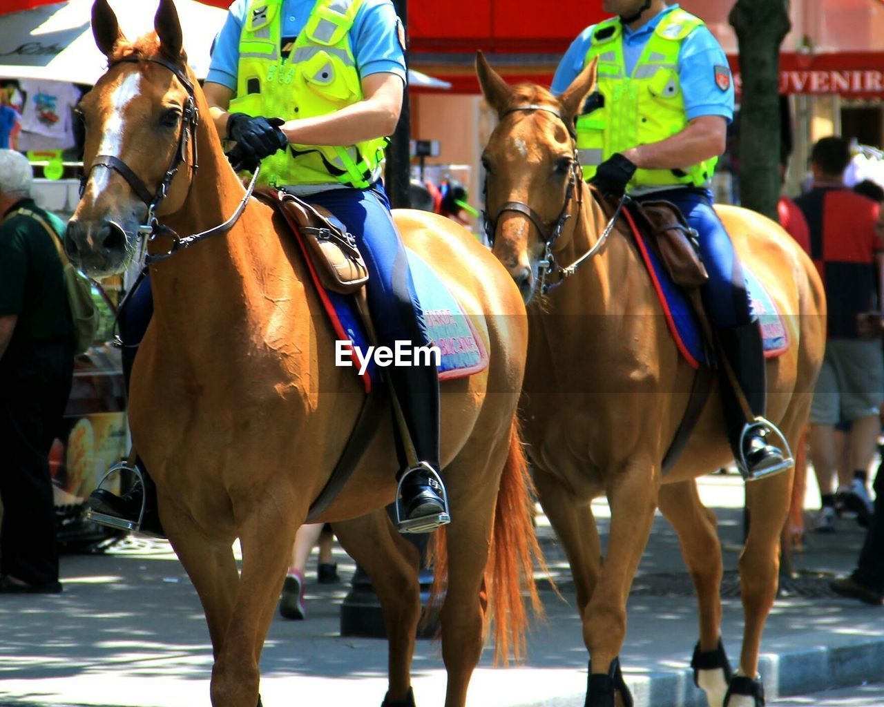 Low section of police officers riding horses in city