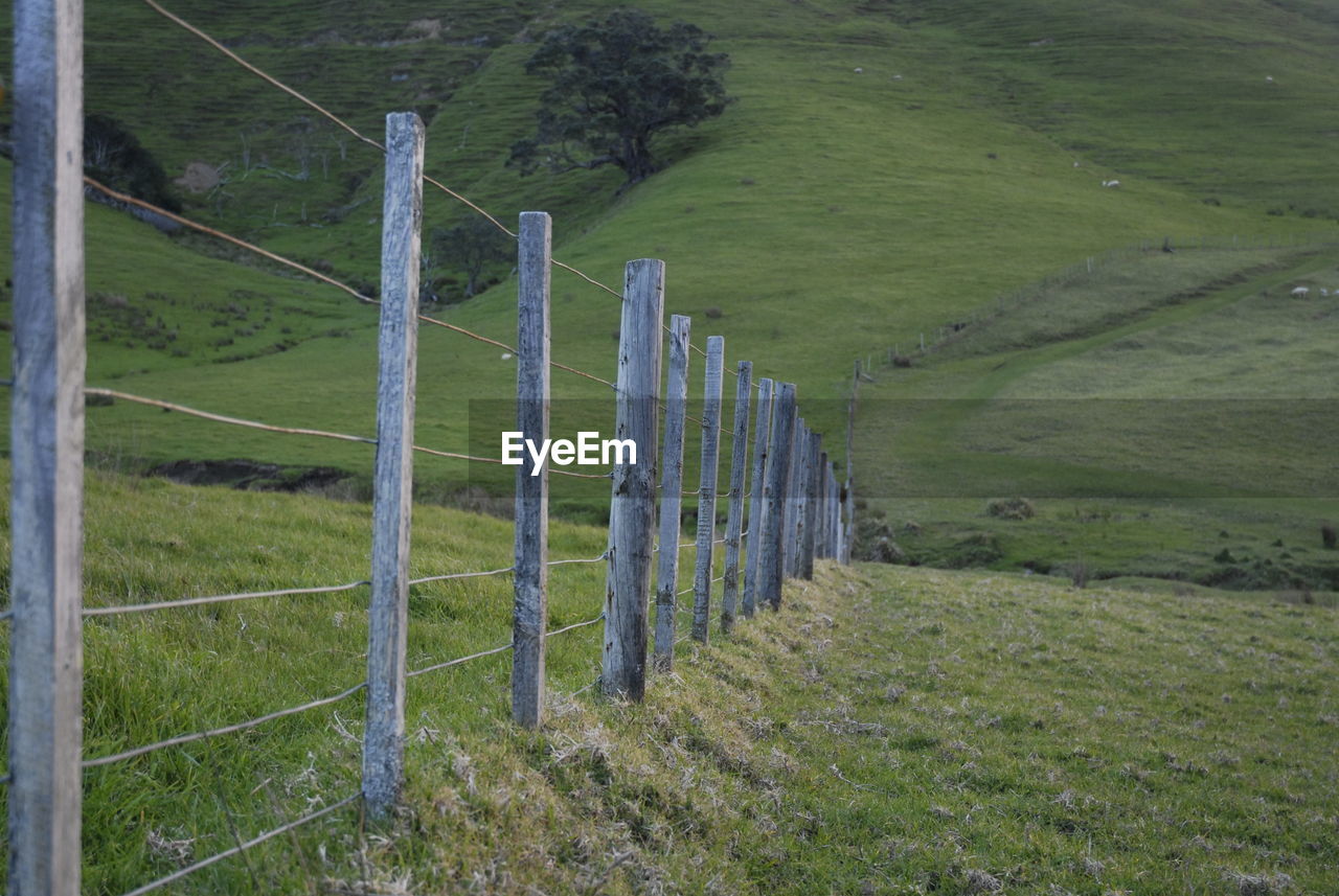 SCENIC VIEW OF FIELD