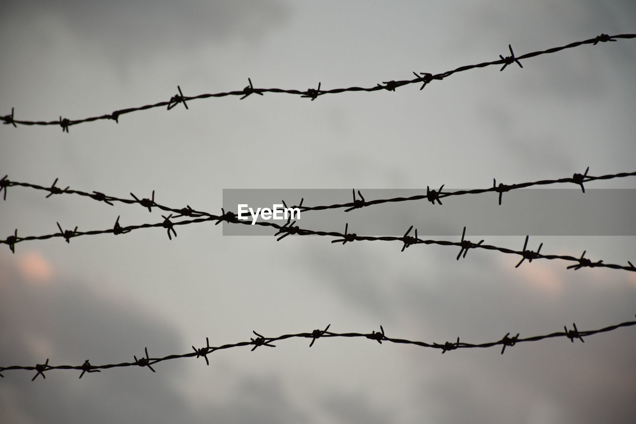 fence, protection, security, wire, barbed wire, branch, wire fencing, metal, line, chainlink fence, sharp, forbidden, twig, outdoor structure, home fencing, warning sign, sign, no people, communication, razor wire, sky, nature, electricity, architecture, wire mesh, outdoors, exclusion