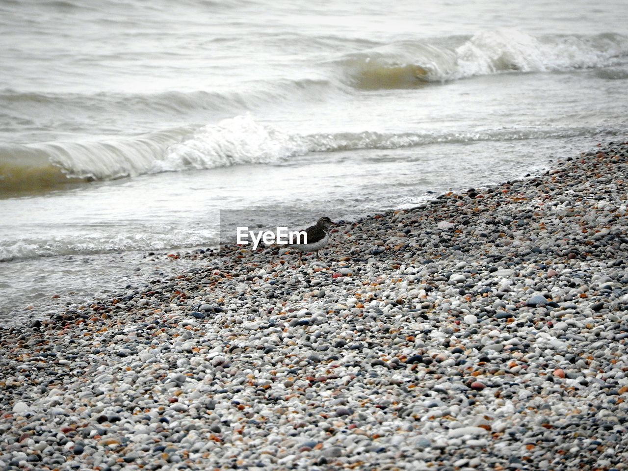 SCENIC VIEW OF BEACH