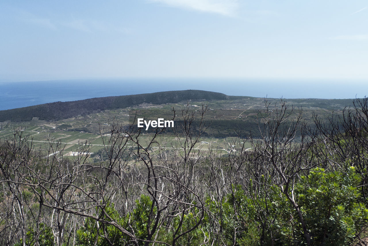 PANORAMIC SHOT OF SEA AGAINST SKY