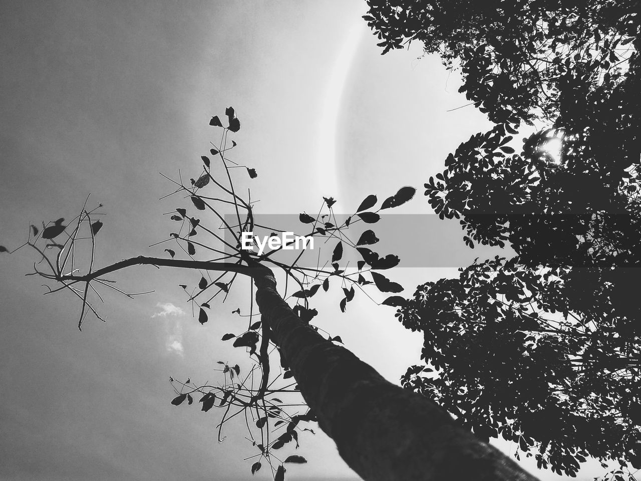 LOW ANGLE VIEW OF HAND AGAINST SKY