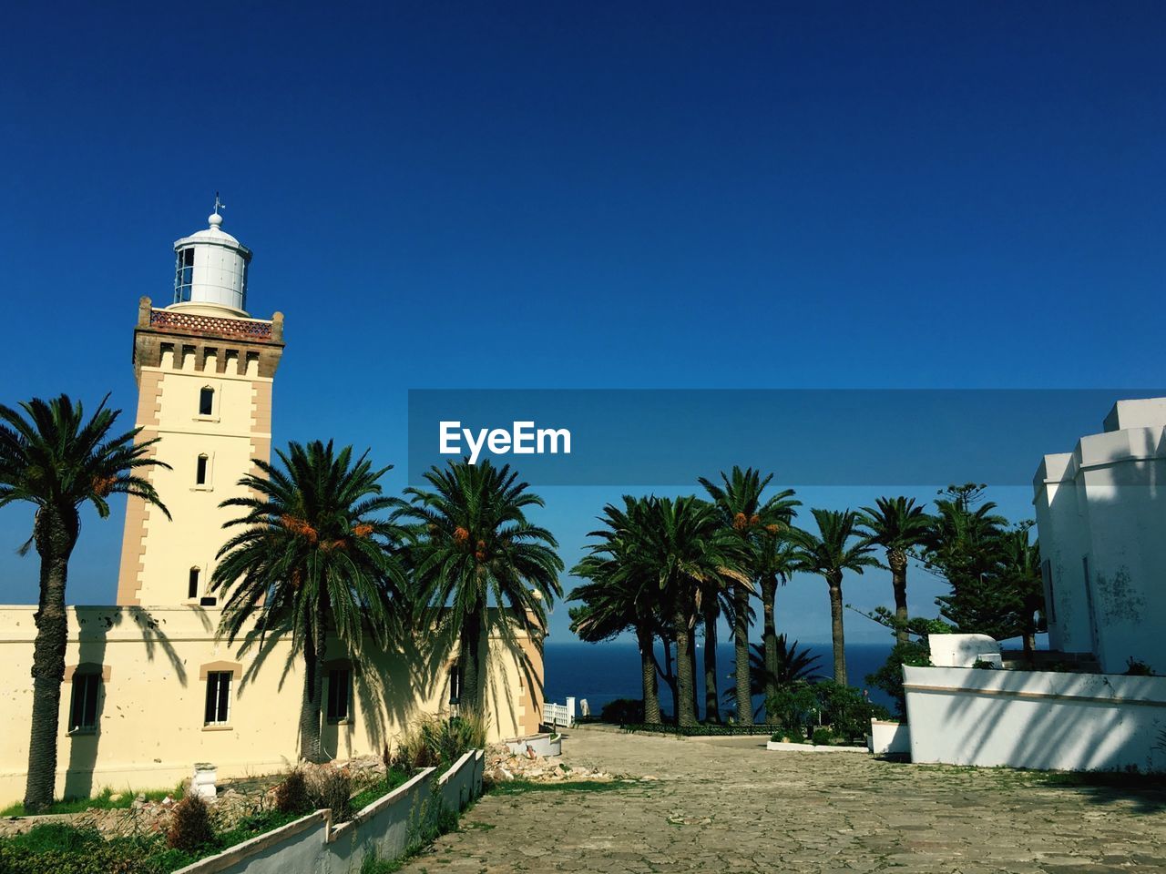 PALM TREES AND BUILDINGS AGAINST SKY