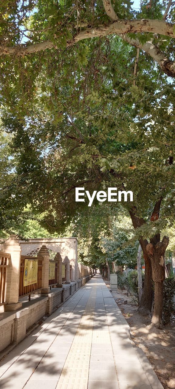 FOOTPATH AMIDST TREES AND BUILDING