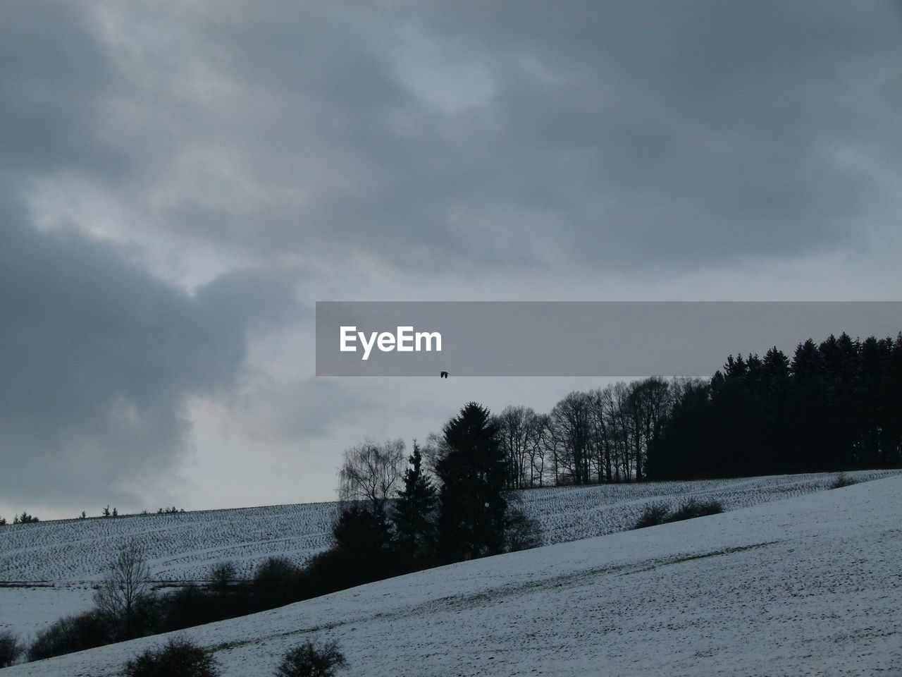 SCENIC VIEW OF SNOW COVERED LANDSCAPE AGAINST SKY