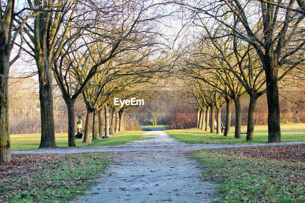 ROAD AMIDST BARE TREES IN WINTER