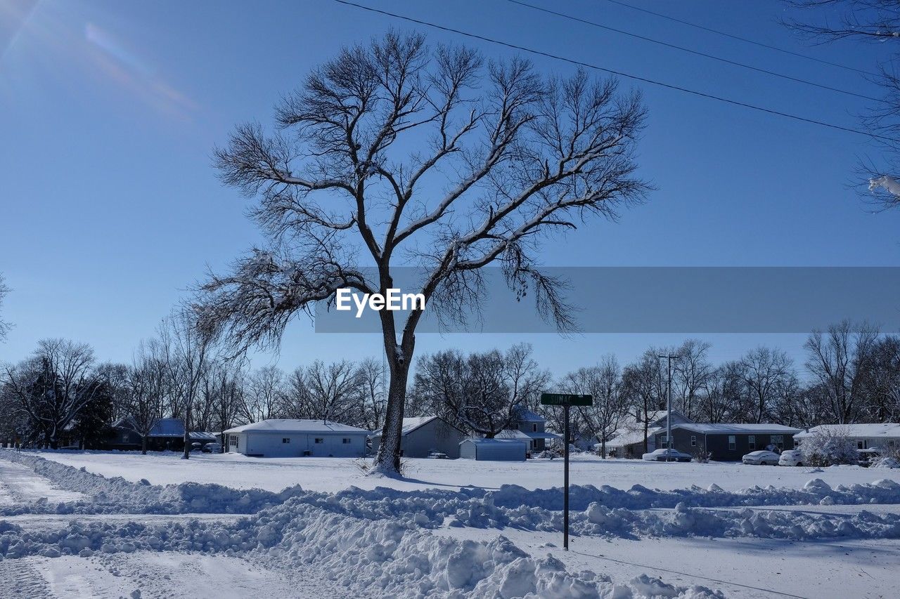 winter, snow, tree, cold temperature, plant, nature, sky, environment, freezing, landscape, beauty in nature, blue, scenics - nature, bare tree, no people, white, frozen, tranquility, tranquil scene, land, outdoors, clear sky, day, field, rural scene, non-urban scene, transportation, architecture