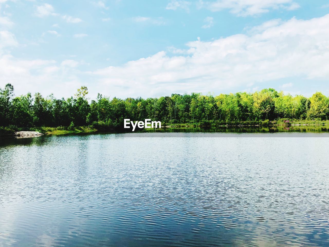 SCENIC VIEW OF LAKE AGAINST TREES