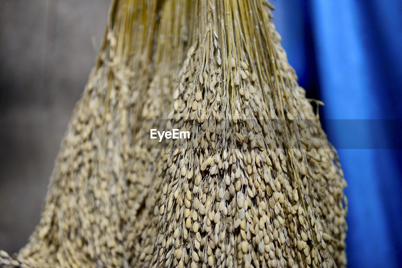 Close-up of stack of rice