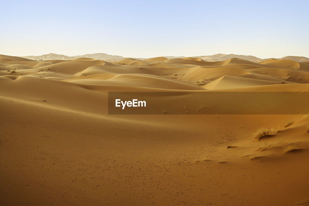 Sahara desert landscape in morocco, africa. sand dunes of this mythical arabic desert gold.