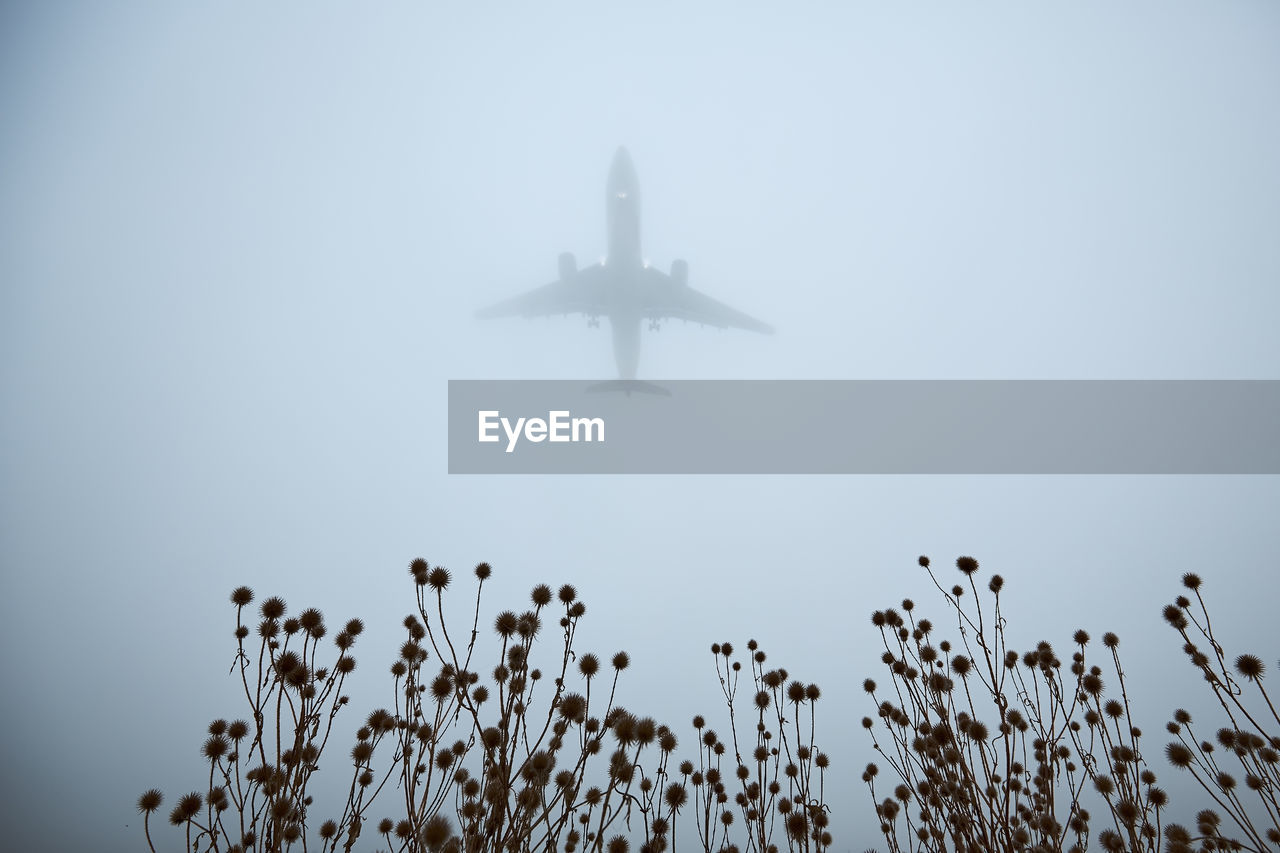 Airplane approaching for landing during gloomy autumn day.