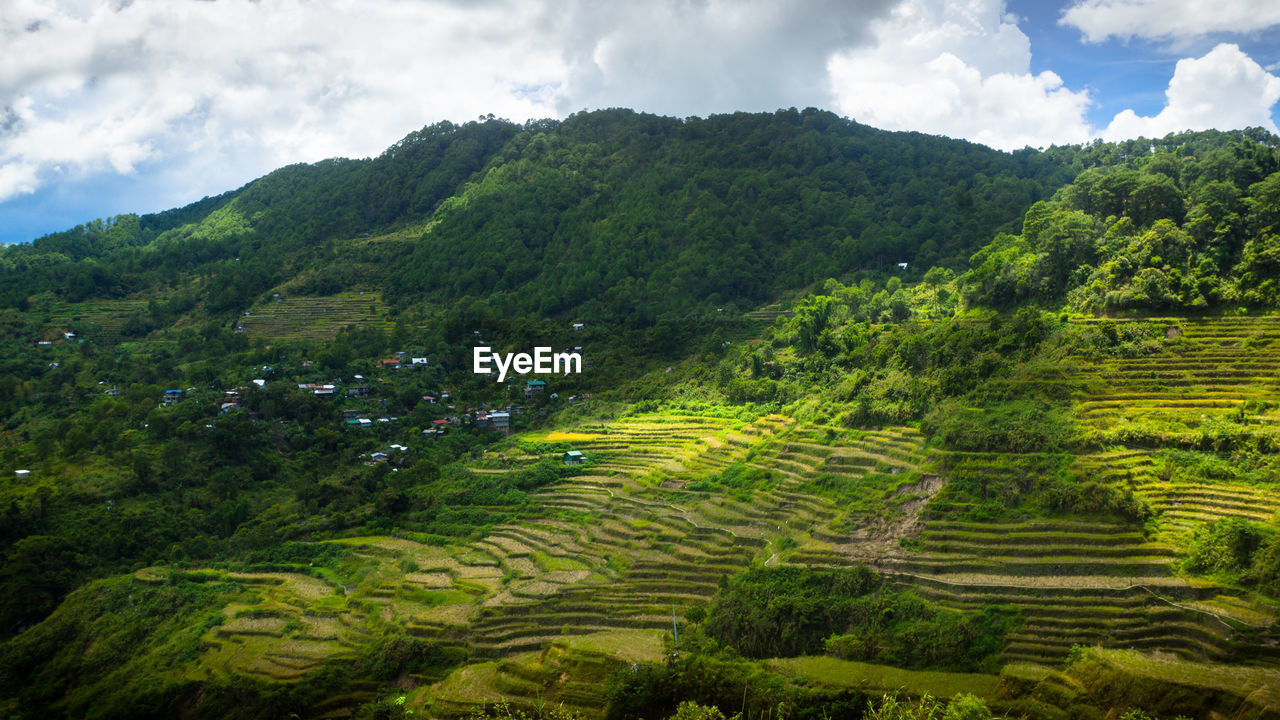 SCENIC VIEW OF FARM AGAINST SKY