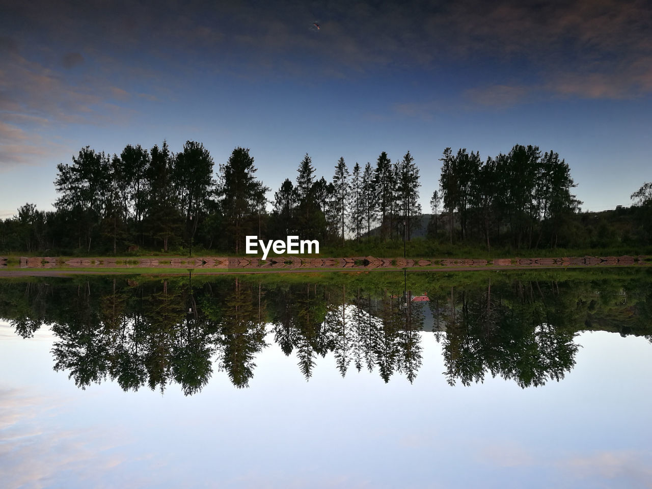 REFLECTION OF TREES IN LAKE