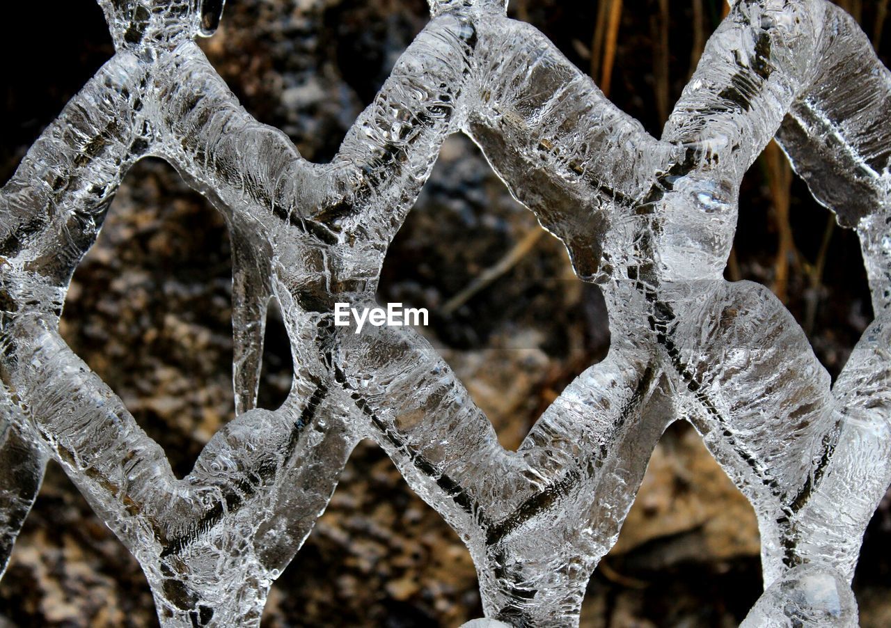 CLOSE-UP OF SNOW