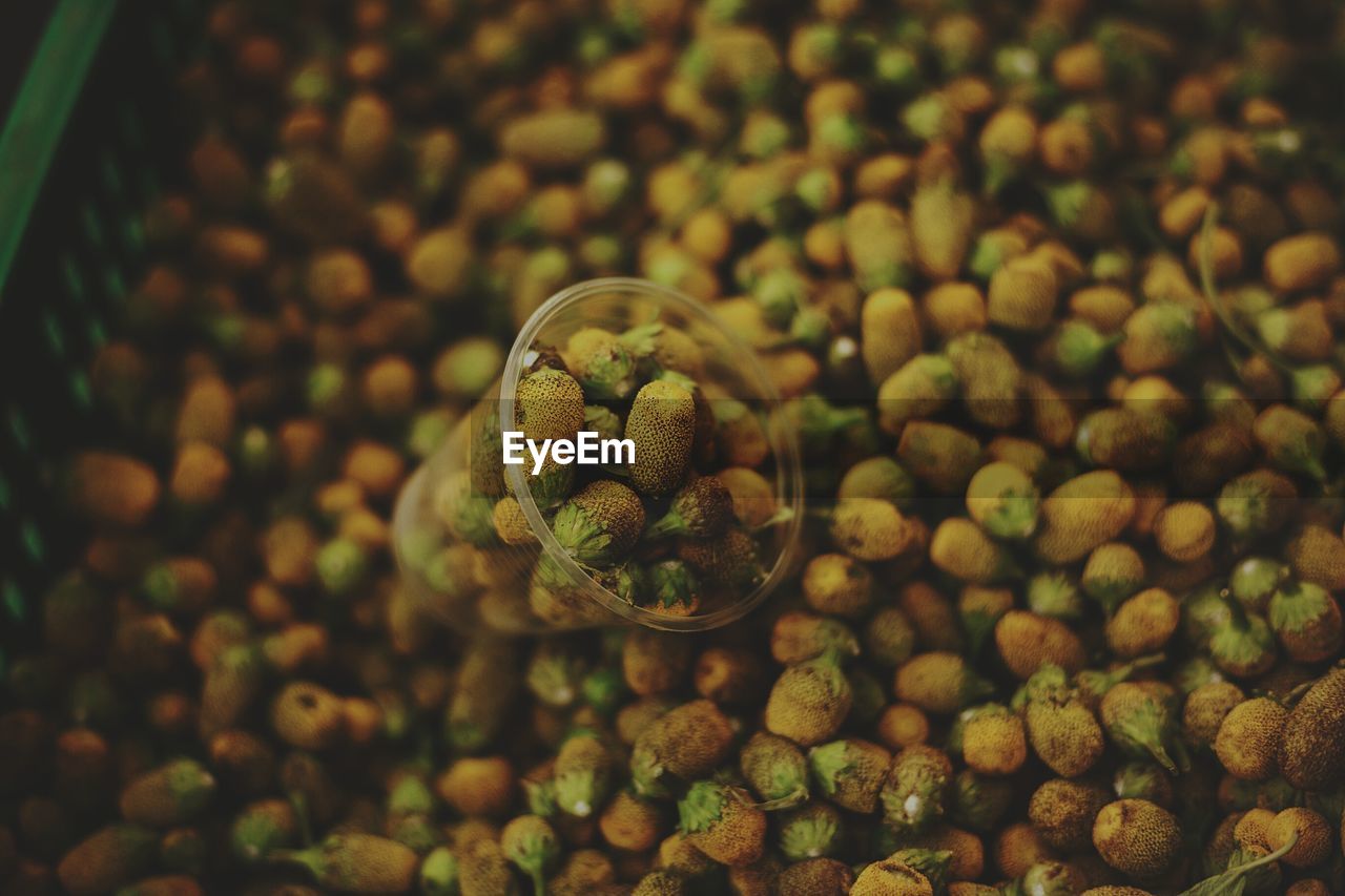 HIGH ANGLE VIEW OF ONIONS IN CONTAINER ON GREEN GRILL