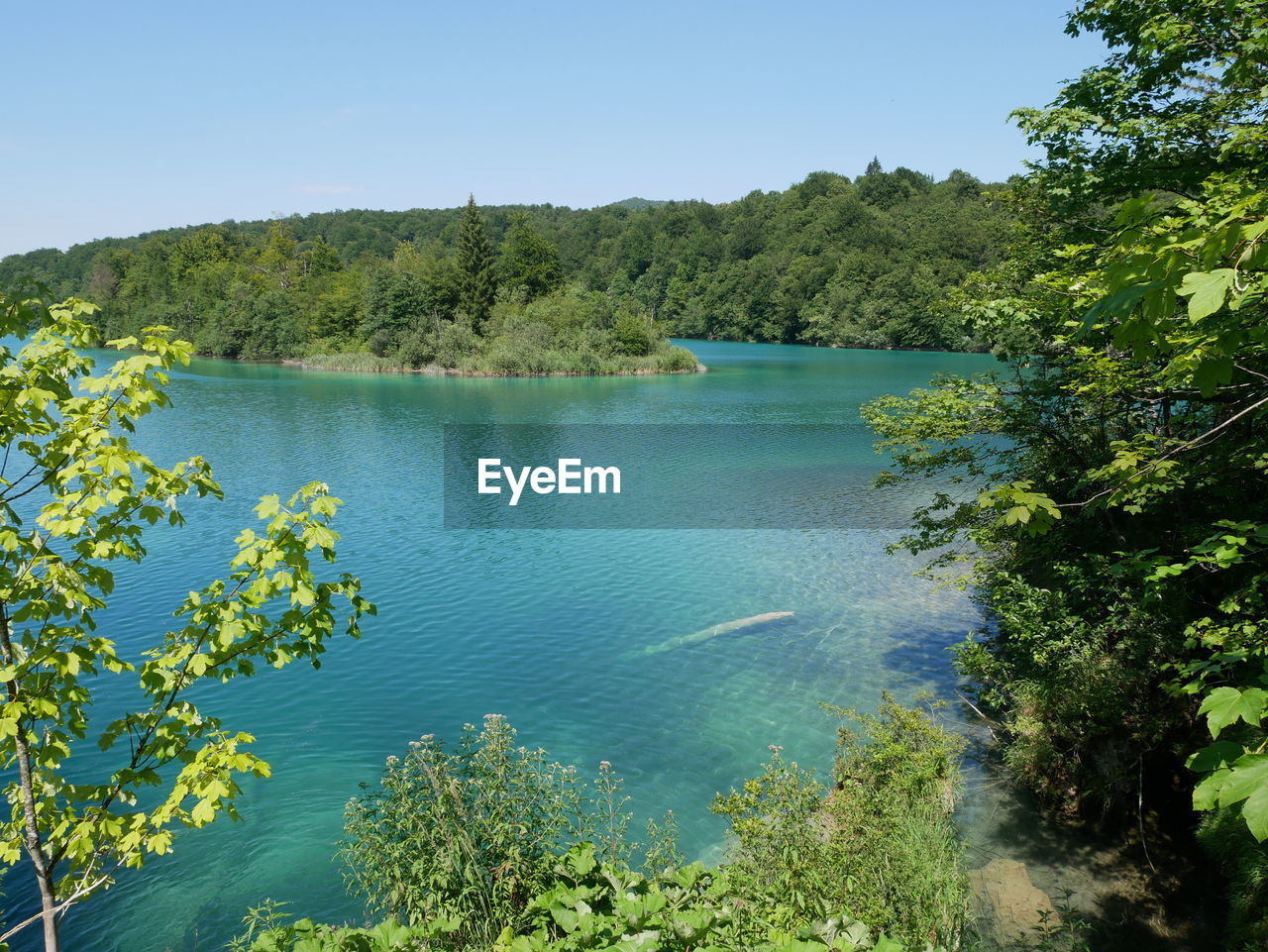 Scenic view of lake in forest against clear sky