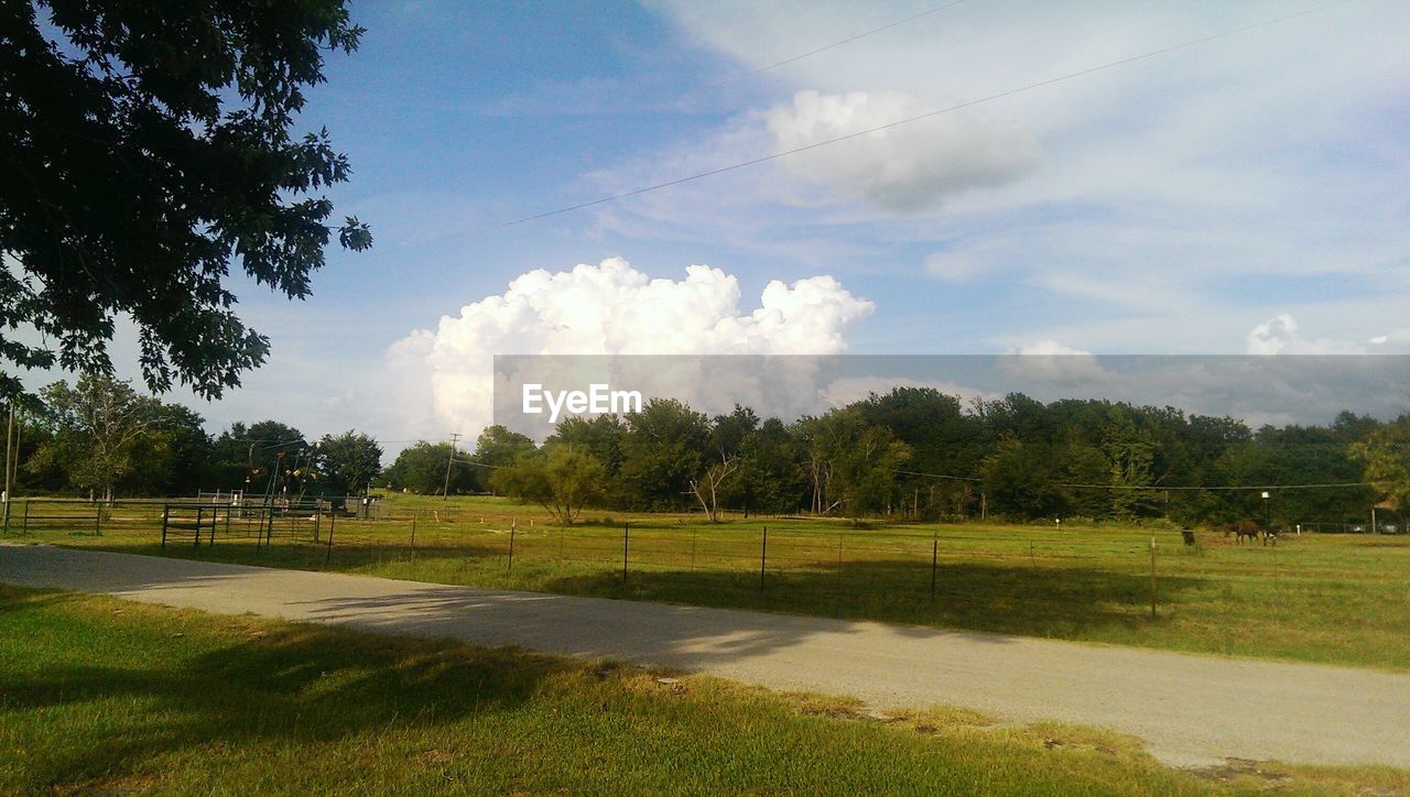 Distance shot of trees on landscape against the sky