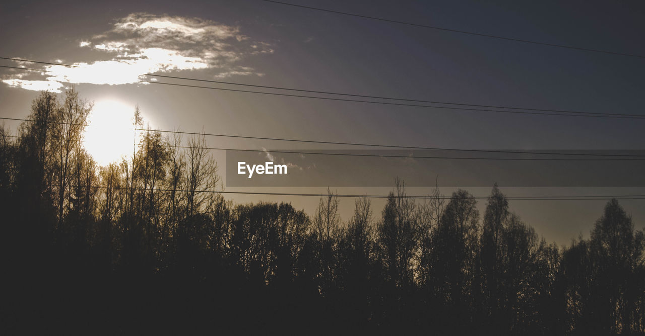 SILHOUETTE TREES AND ELECTRICITY PYLON AGAINST SKY