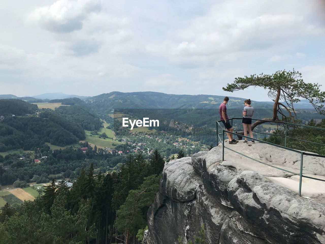 PANORAMIC VIEW OF TREES AND MOUNTAINS AGAINST SKY