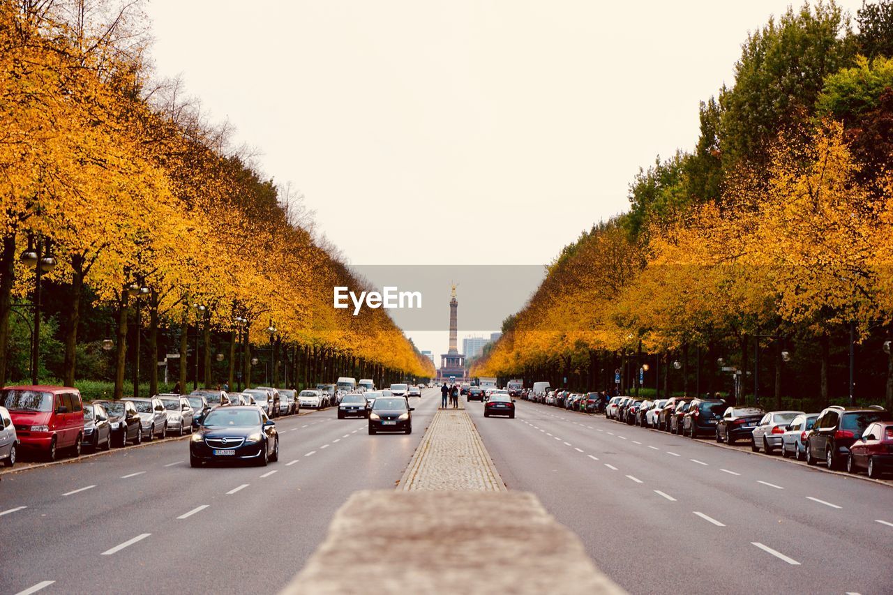 Cars on road by trees against clear sky