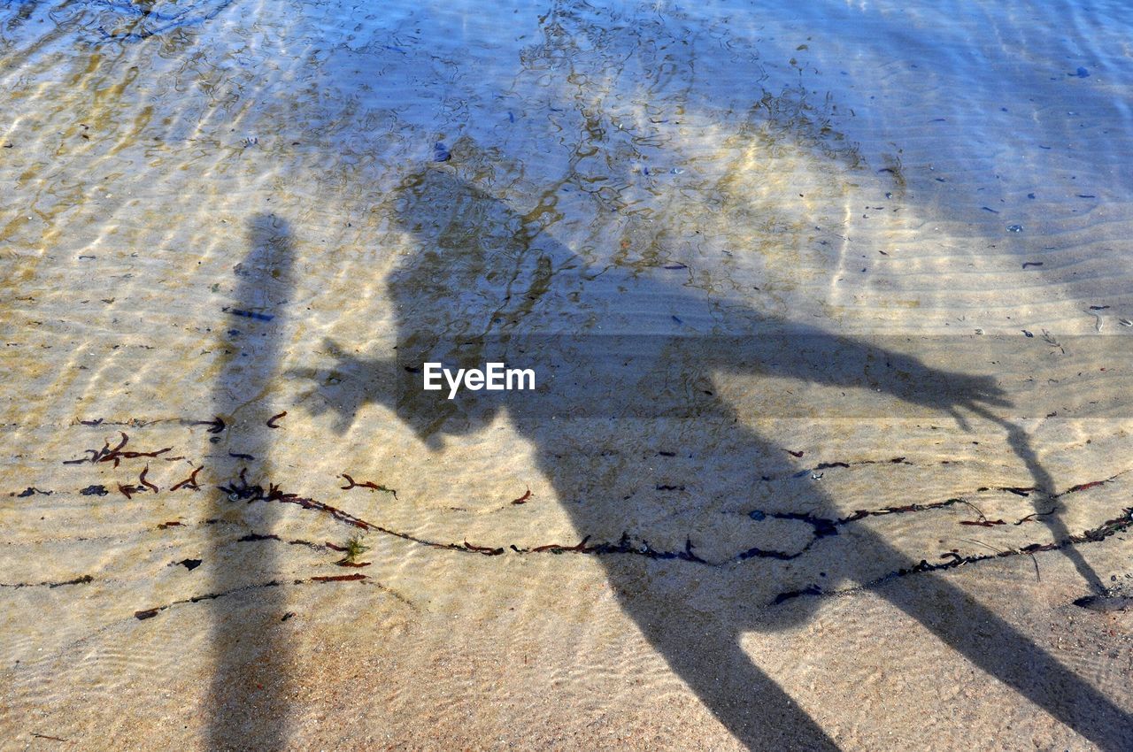 High angle view of person shadow on wet beach