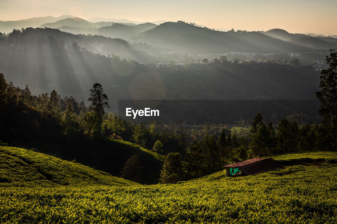 Scenic view of field against mountains
