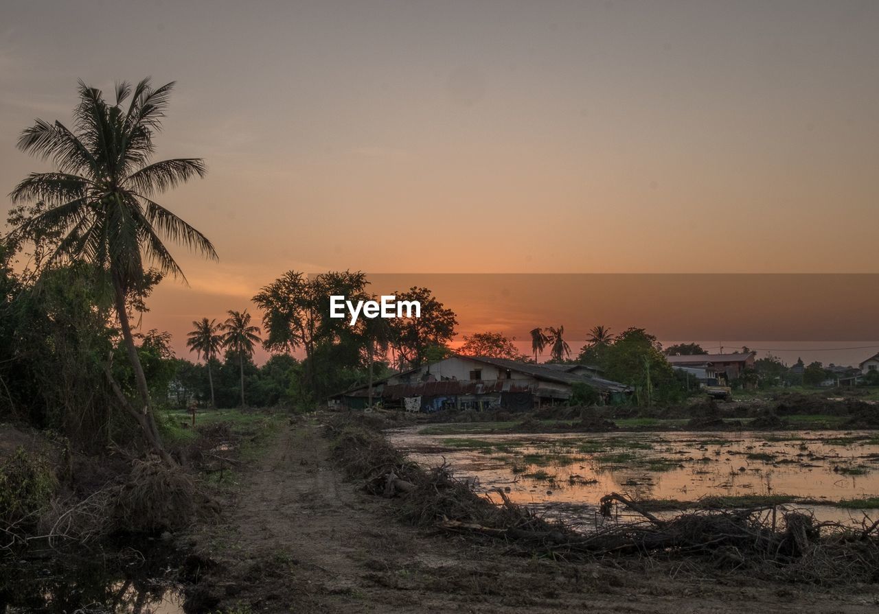 PALM TREES ON LANDSCAPE AGAINST SKY DURING SUNSET