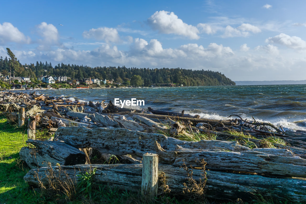 Spray fills the air from waves crashing on logs in normandy park, washington.