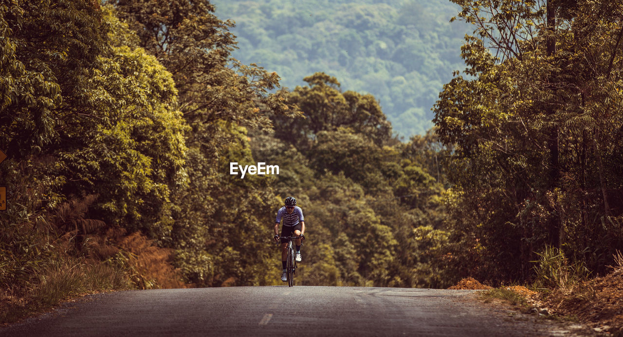 Man riding bicycle on road against tree