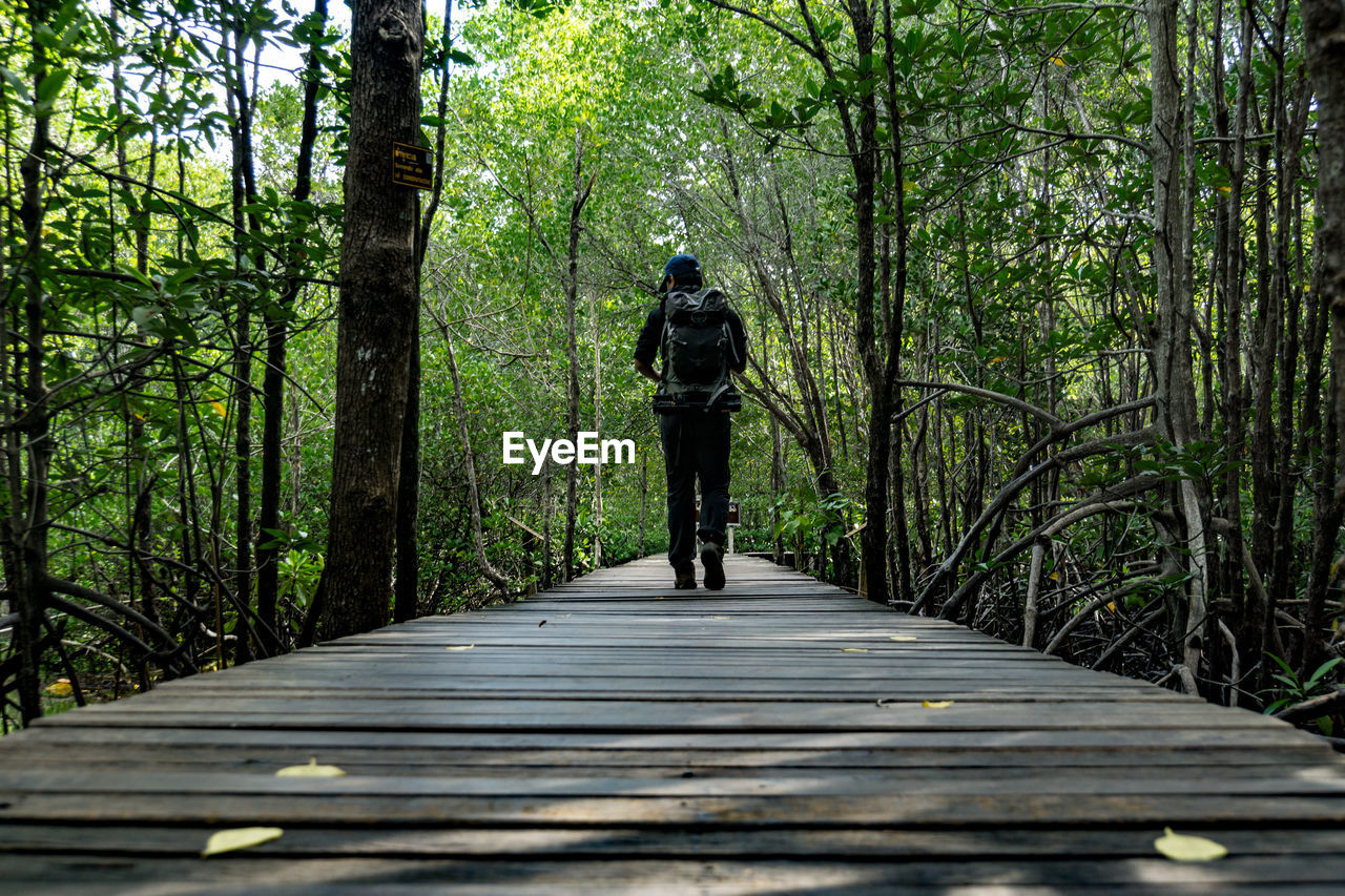 Rear view of man walking in forest