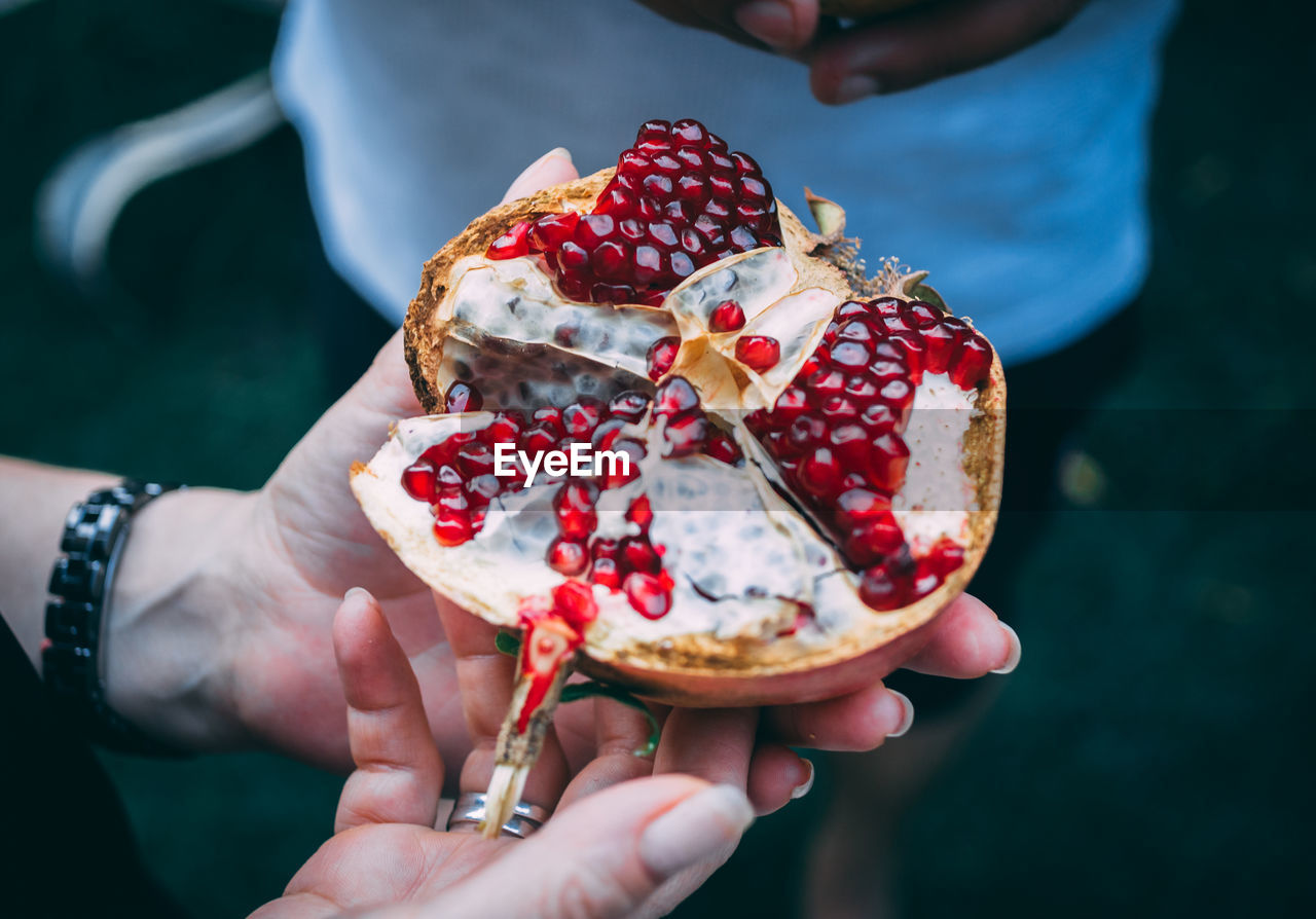 Ripe pomegranate in the hands. close image of a opened up pomegranate.