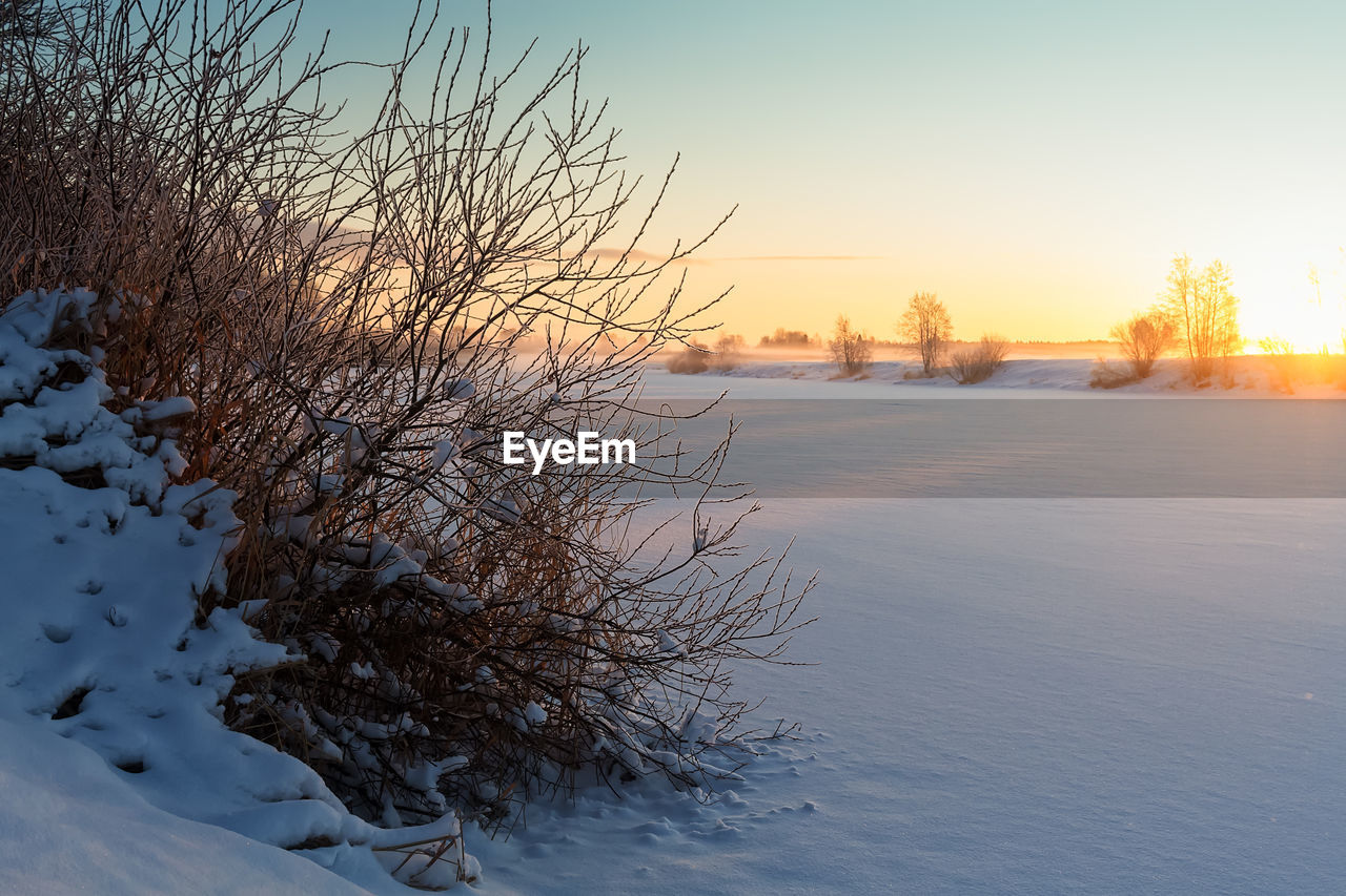 FROZEN LAKE AGAINST BARE TREES DURING WINTER