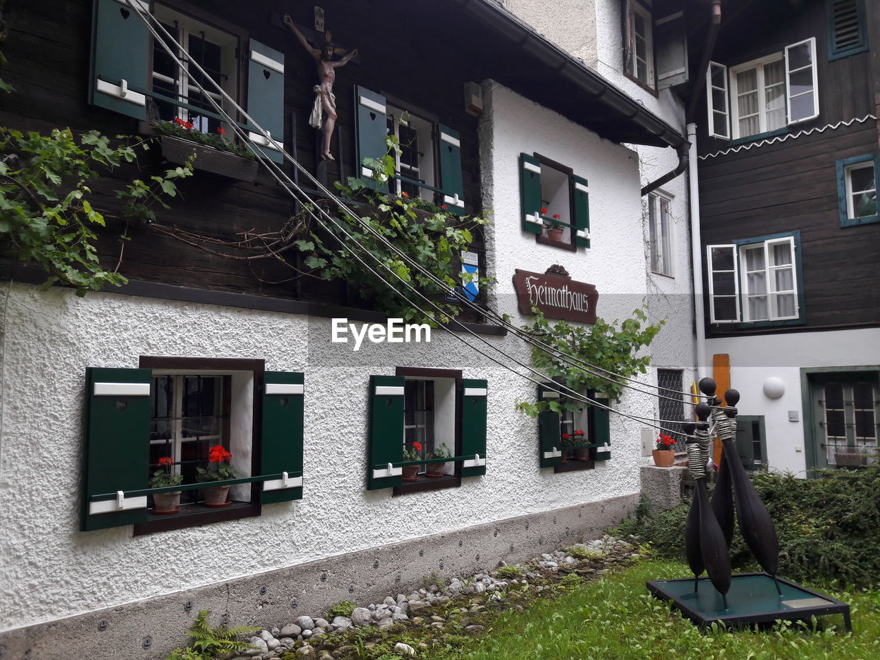 POTTED PLANTS IN BUILDING