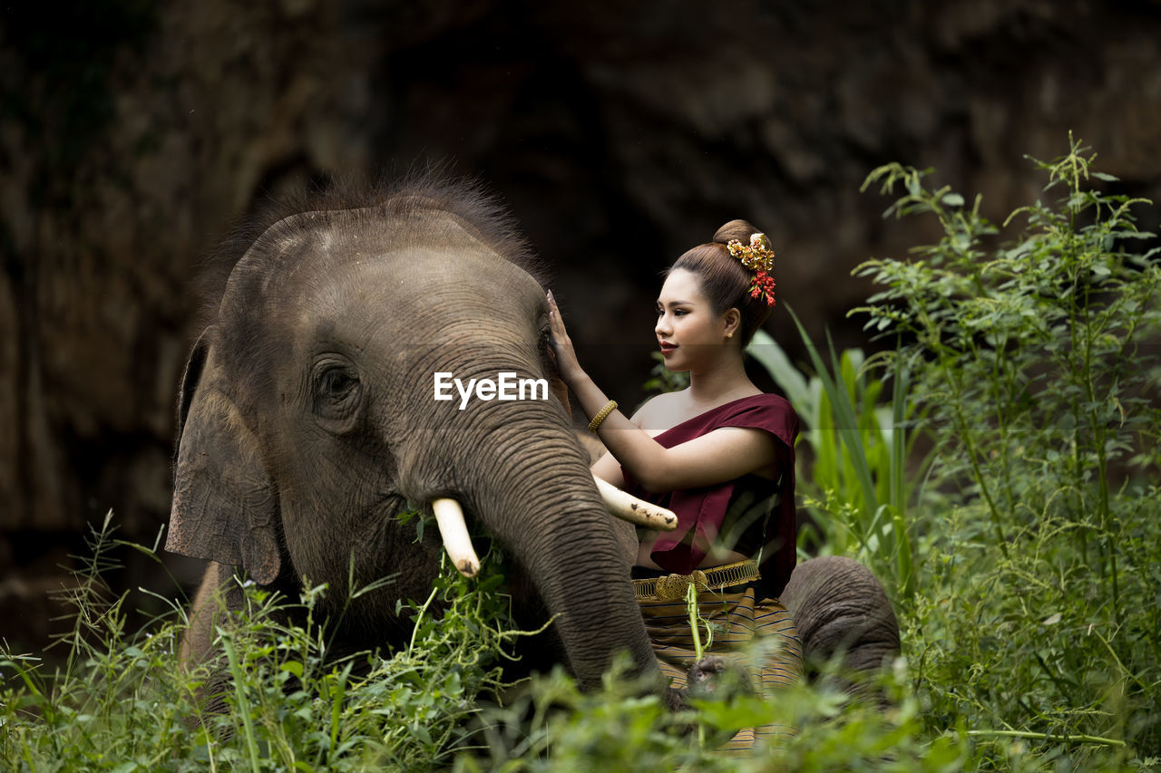 Smiling girl petting elephant in forest