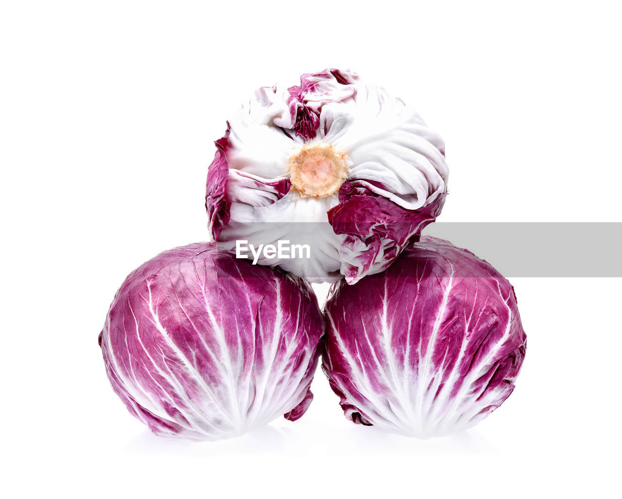 Close-up of purple cabbages against white background