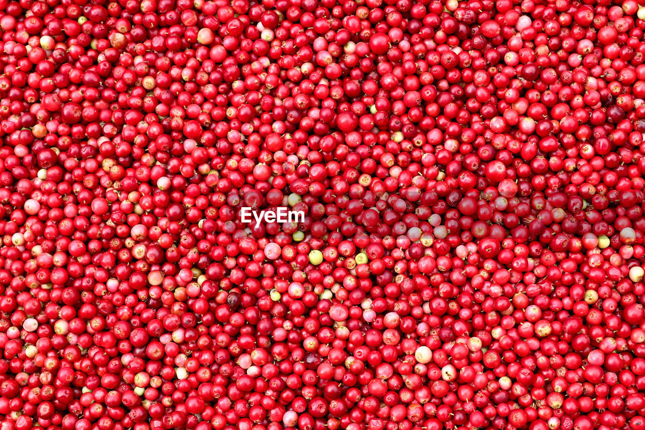 Cranberries - healthy berries contain plentiful organic acids, vitamin c