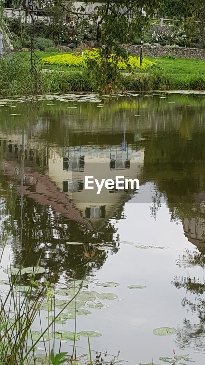 REFLECTION OF TREES IN WATER