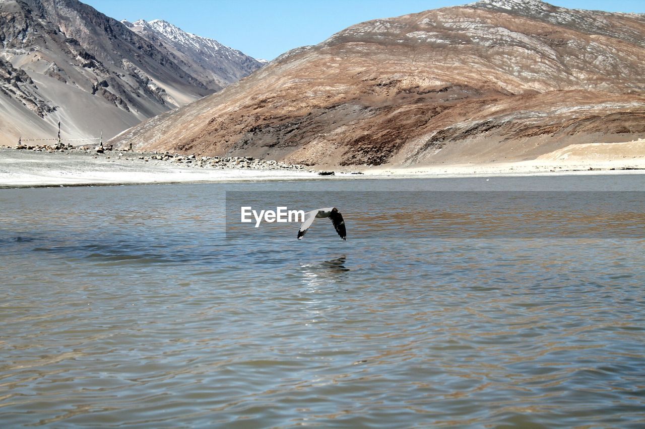 MAN IN LAKE AGAINST MOUNTAINS