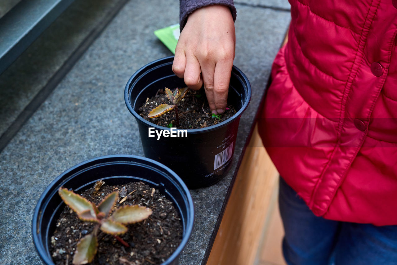 Girl putting fertilizer for potted plants in early spring