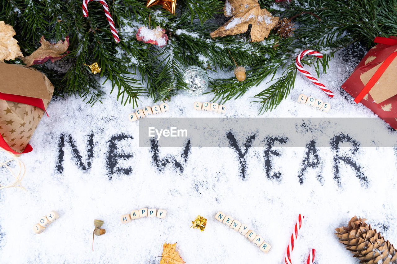 VIEW OF CHRISTMAS TREE IN SNOW COVERED FIELD