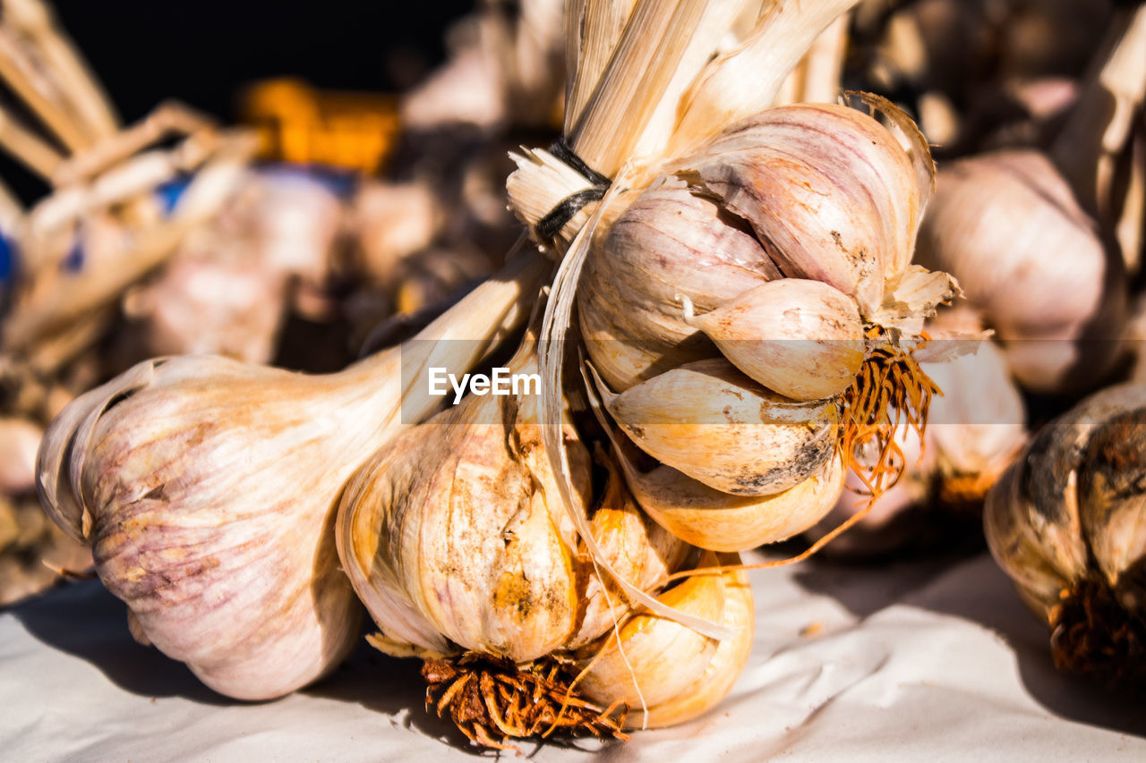 close-up of garlic on plant