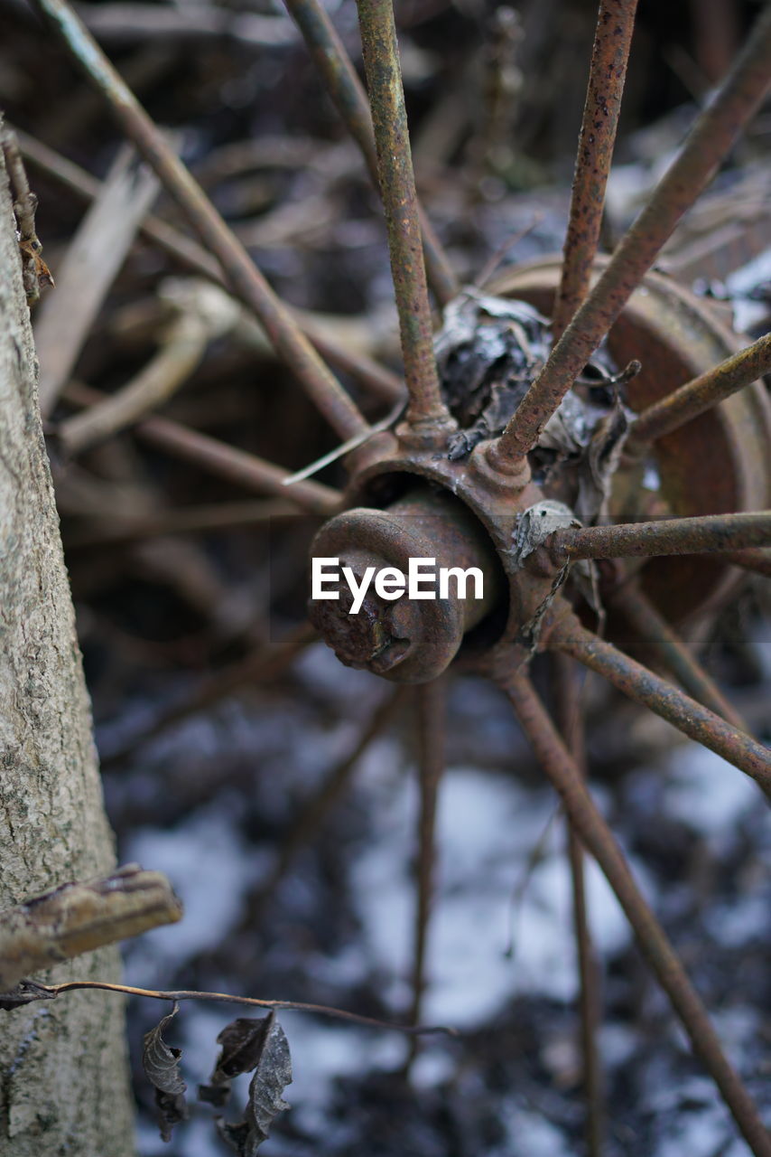 High angle view of rusty wheel of cart during winter