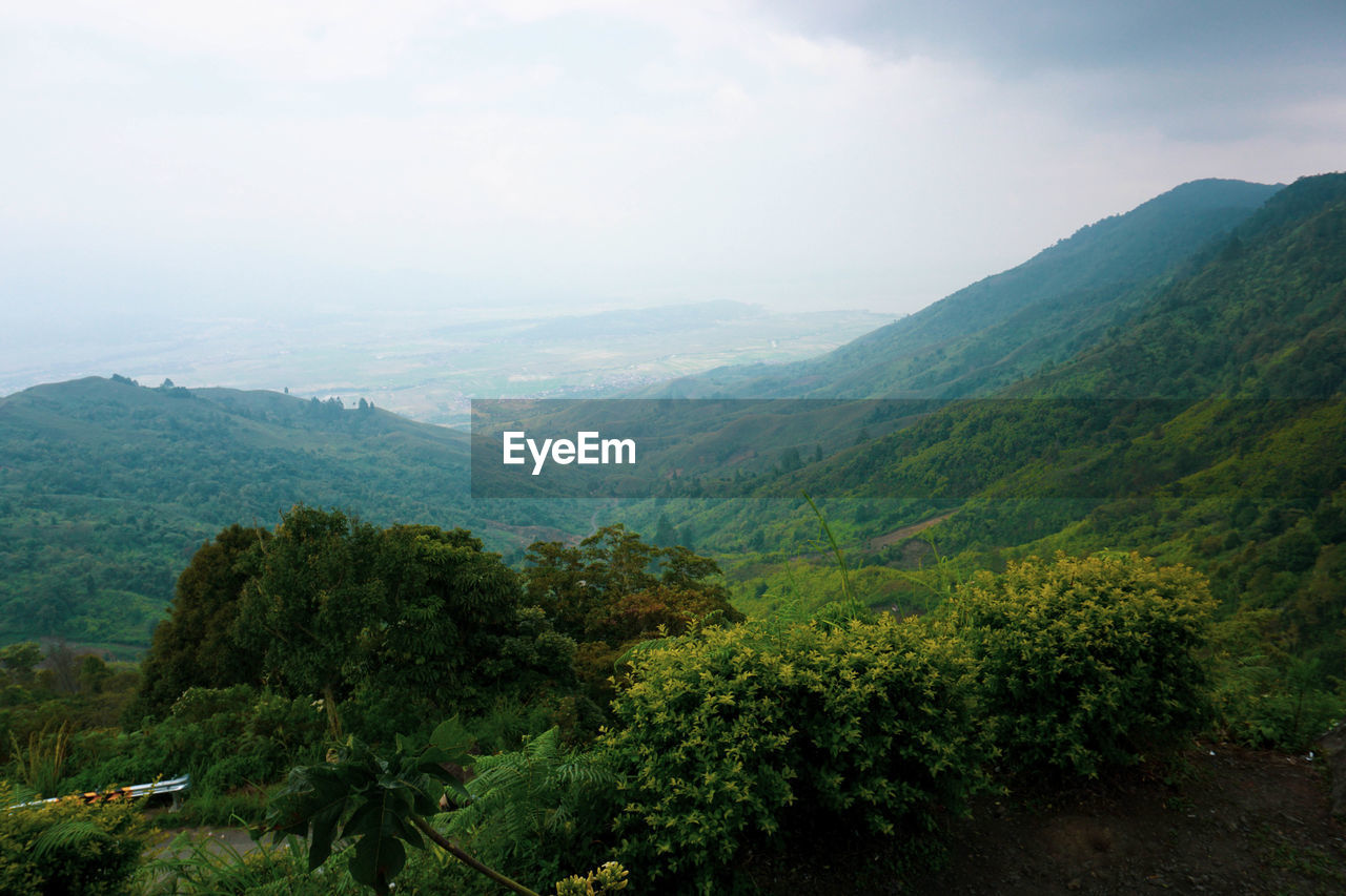 High angle view of trees on landscape against sky