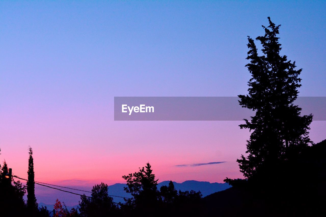 LOW ANGLE VIEW OF SILHOUETTE TREES AGAINST SKY AT DUSK