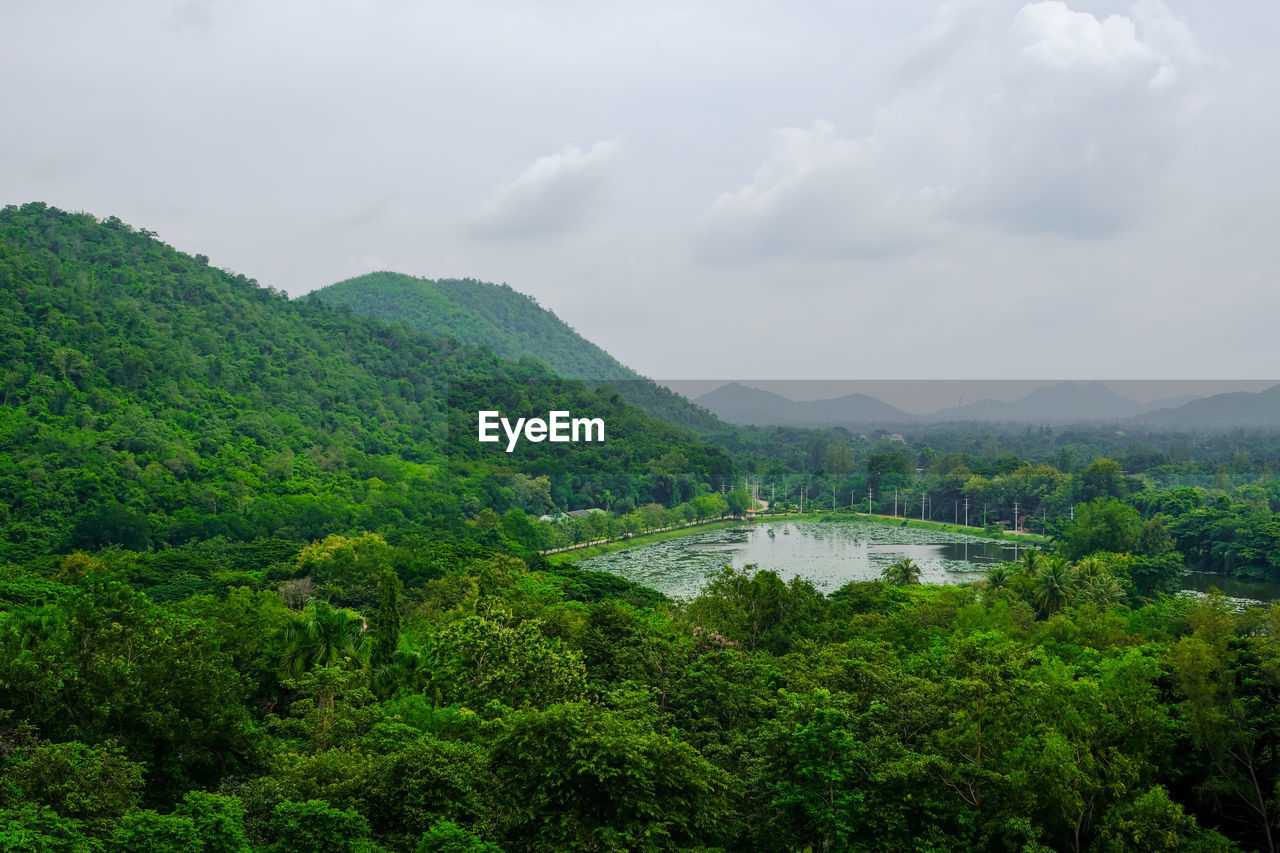 Scenic view of river in forest against sky