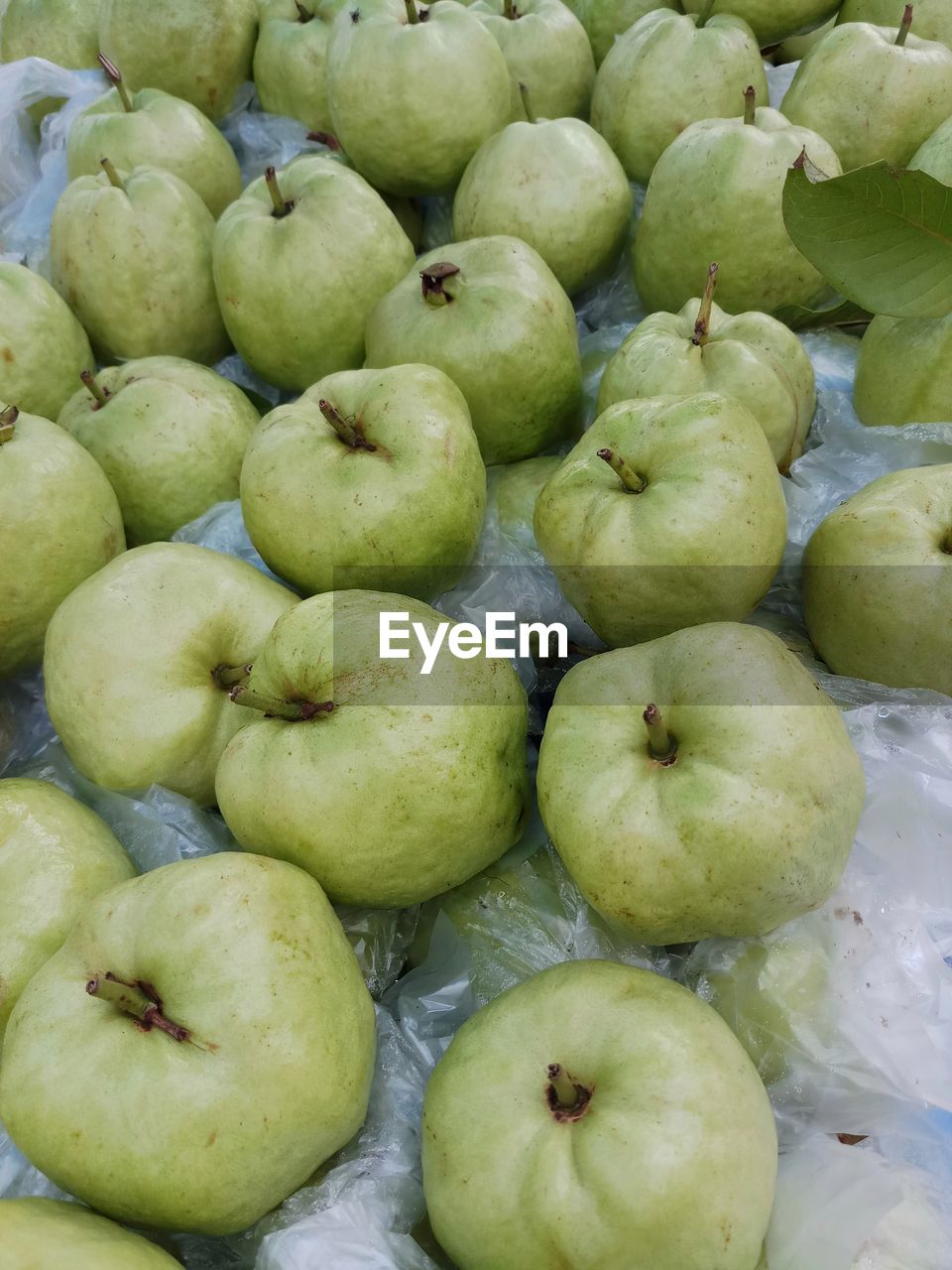 HIGH ANGLE VIEW OF APPLES IN CONTAINER