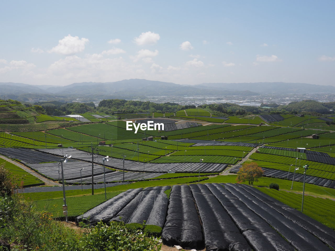 Scenic view of agricultural field against sky